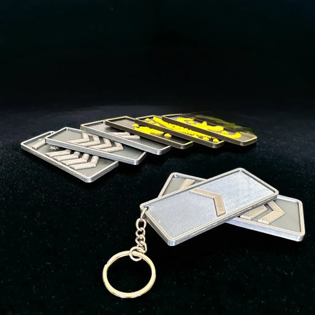Counter Strike Rank Personalized Keychain